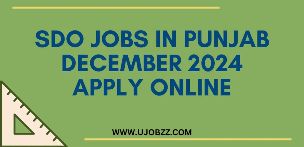 SDO Jobs in Punjab December 2024 Apply Online