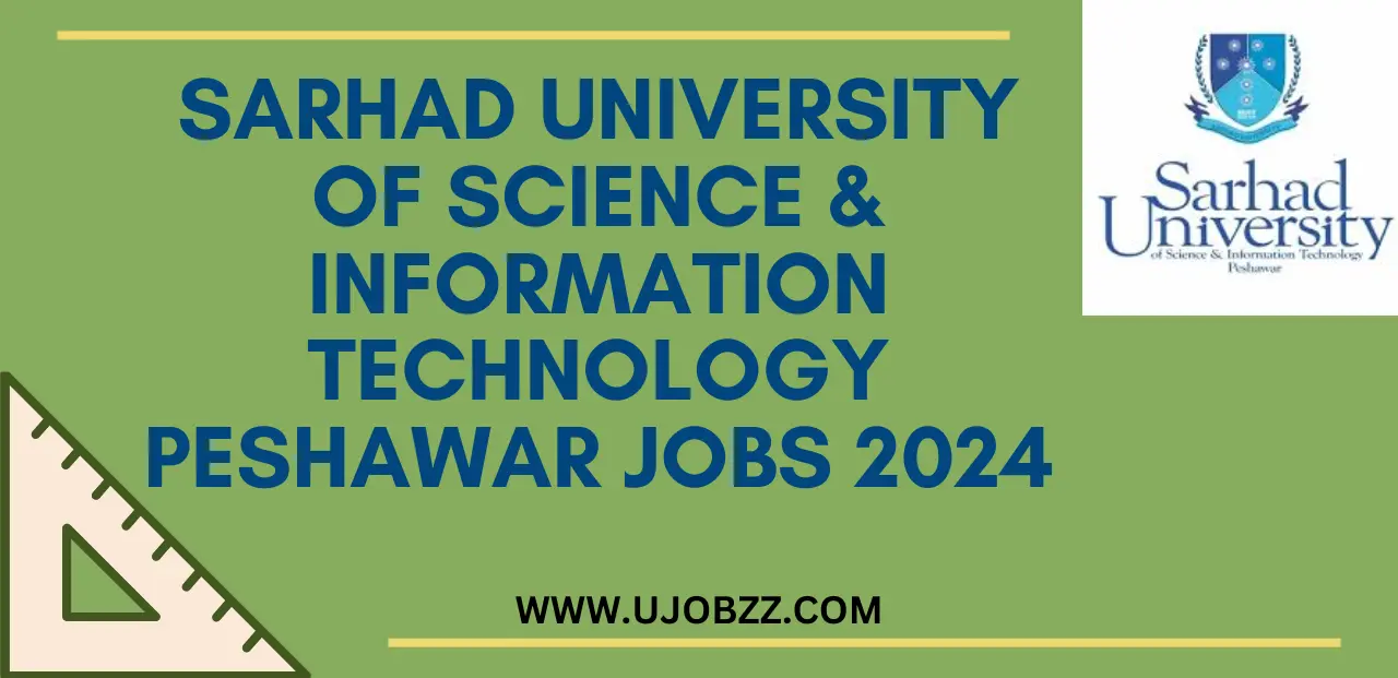 Sarhad University of Science & Information Technology Peshawar Jobs 2024