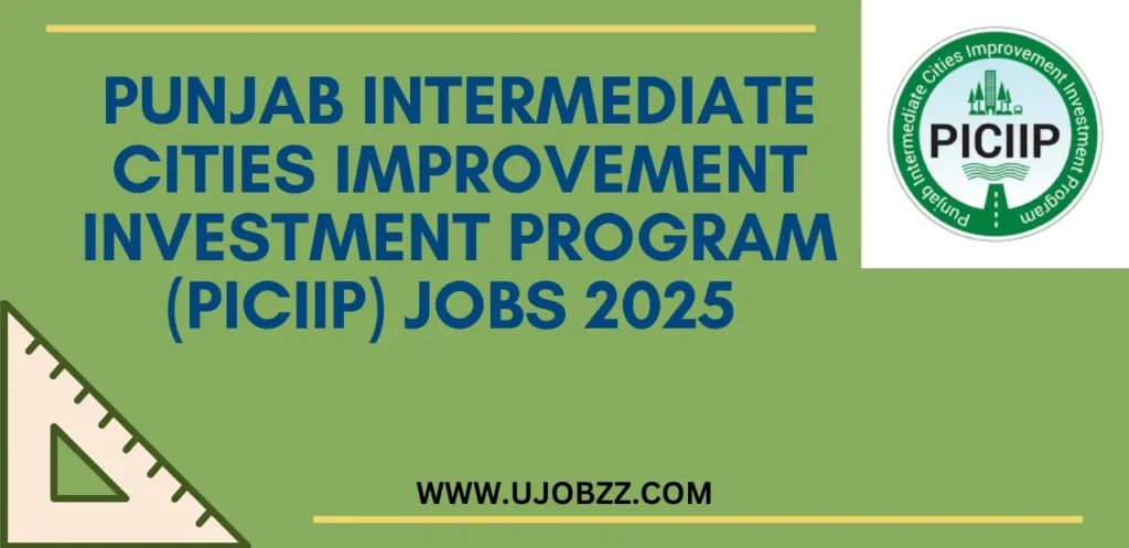 Punjab Intermediate Cities Improvement Investment Program (PICIIP) Jobs 2025