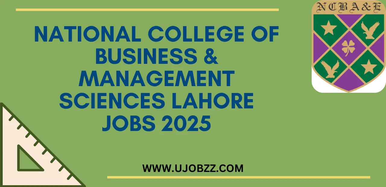 National College Of Business & Management Sciences Lahore Jobs 2025